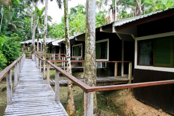 Ceiba Tops Lodge